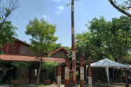 Jj Market Chiang Mai 14