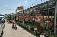 Kham Thiang Flower Market 03