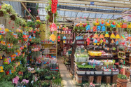 Kham Thiang Flower Market 04