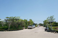 Kham Thiang Flower Market 09