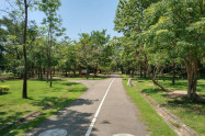 Lanna Rama 9 Park 05