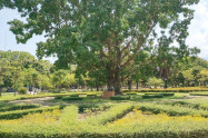 Lanna Rama 9 Park 07