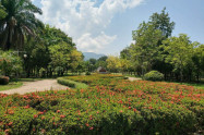 Lanna Rama 9 Park 09