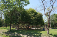 Lanna Rama 9 Park 14