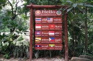 Op Luang National Park 02