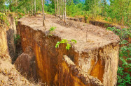 Pai Land Split 04