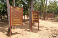 Pha Chor Tourist Point 02