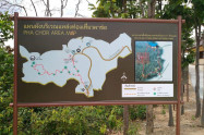 Pha Chor Tourist Point Map Pha Chor Tourist Point 03