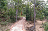 Pha Chor Tourist Point 05