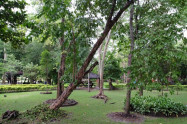 San Kamphaeng Hot Springs 06