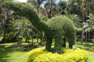 Tweechol Botanic Garden 06