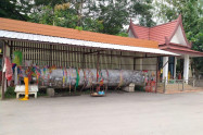 Wat Chedi Sao Lang 10