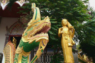 Wat Chedi Sao Lang 13