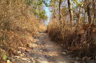 Wat Pha Lat 01