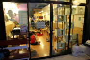 Catmosphere Chiang Mai 18