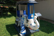 Elephant Parade Land 05