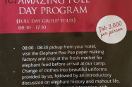 Elephant Rescue Park 02
