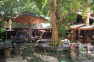 Monfai 06