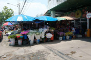 Ton Lam Yai Market 14