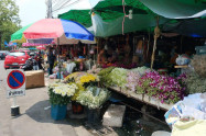 Ton Lam Yai Market 16