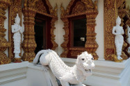 Wat Buppharam 50