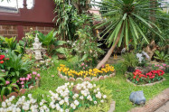 Wat Phan On 11