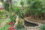 Wat Phan On 14
