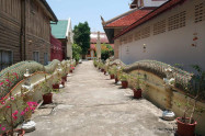 Wat Saen Fang 04