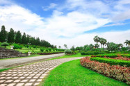 Rai Mae Fah Luang 02
