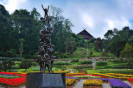Rai Mae Fah Luang 05