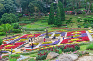 Rai Mae Fah Luang 09