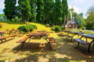 Rai Mae Fah Luang 11