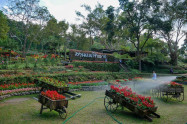 Rai Mae Fah Luang 14