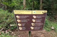 Monthathan Waterfall 10