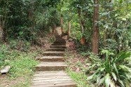 Monthathan Waterfall 11