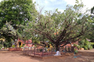 Wat Phraphutthabat Tak Pha 06