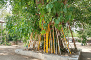 Wat Pong Noi 05