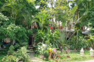 Wat Pan Waen 13