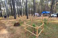 Bo Kaeo Pine Tree Garden 03