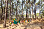 Bo Kaeo Pine Tree Garden 11