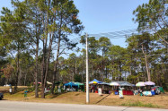 Bo Kaeo Pine Tree Garden 13