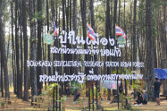 Bo Kaeo Pine Tree Garden 14