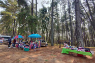 Bo Kaeo Pine Tree Garden 15