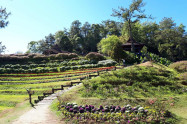 Huai Nam Dang National Park 02