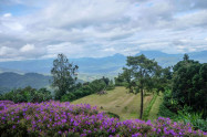 Huai Nam Dang National Park 06