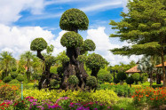 Tweechol Botanic Garden 01