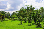 Tweechol Botanic Garden 02