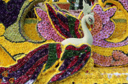 Chiang Mai Flower Festival 06