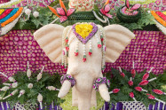 Chiang Mai Flower Festival 07
