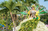 Chiang Mai Flower Festival 11